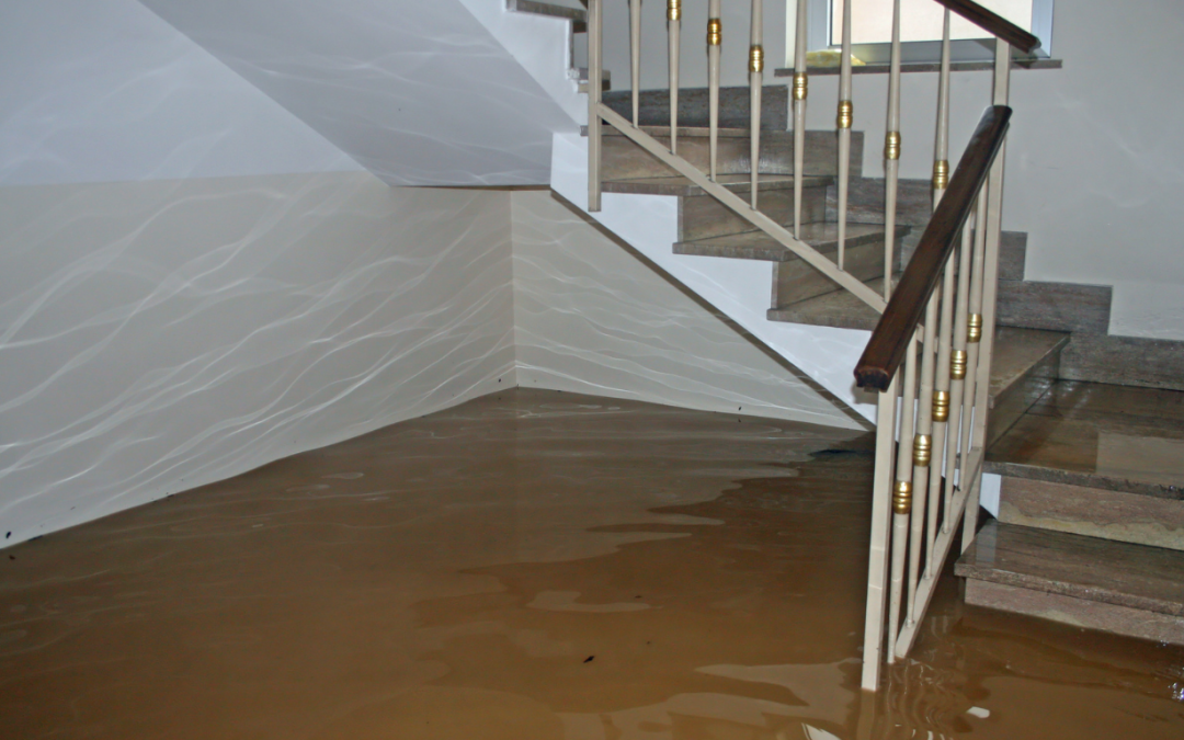 Rapid Flood Damage Restoration in Metairie, LA to Save Your Home Post-Storm
