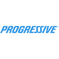 progressive logo - disaster clean up