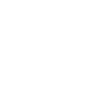 location icon white