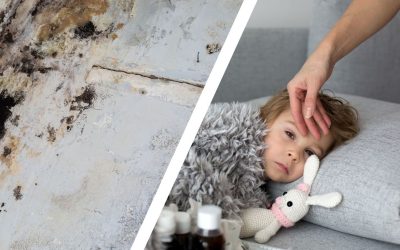 Surprising Effects of Mold Exposure in Children