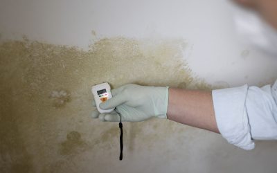 The Importance of Getting a Certified Mold Inspector