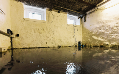 Why Timely Basement Flood Restoration Is Essential for Long-Term Safety