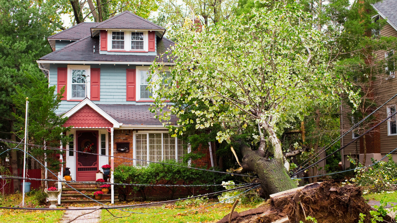 The Importance of Fast Storm Damage Restoration for Your Property storm damage restoration services