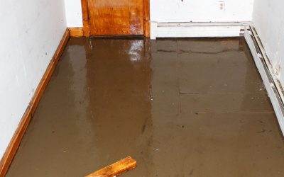Flood Damage Restoration in the Palm Beaches When You Need It Most