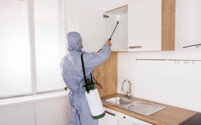 Odor Removal for Homes That Need a Fresh Start