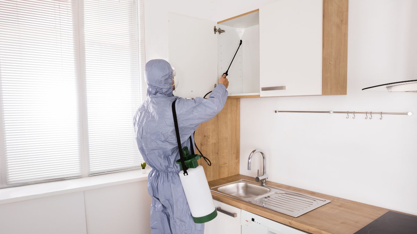 Technician performing odor removal in a kitchen.