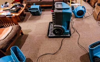 What Homeowners Should Know About Water Damage Restoration in Delray Beach