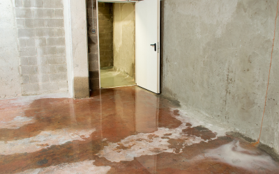 Reliable Water Damage Restoration in Delray Beach to Handle Emergency Leaks