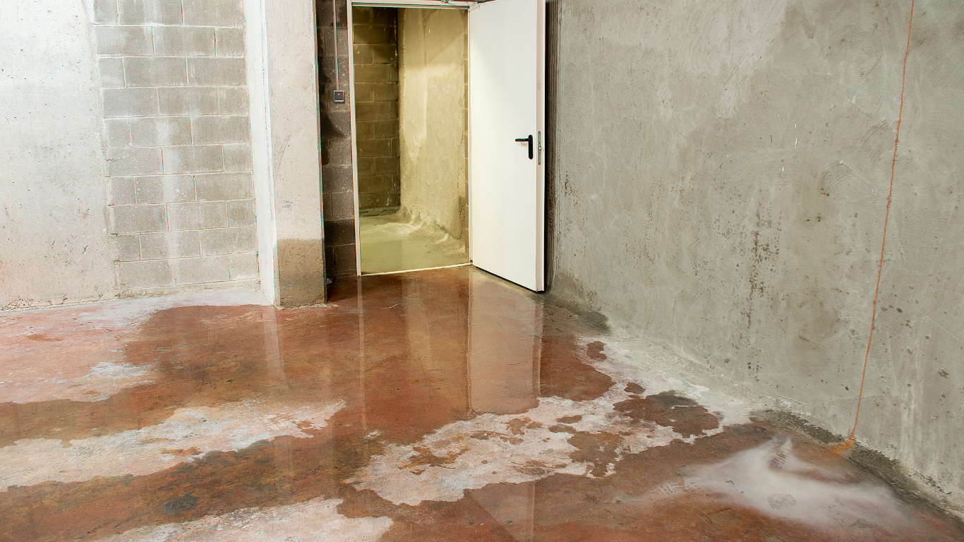Reliable Water Damage Restoration in Delray Beach to Handle Emergency Leaks water damage restoration Delray Beach
