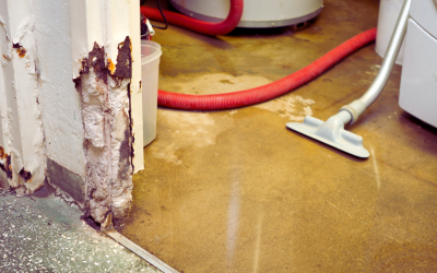 When Floods Strike, Trust Water Damage Restoration to Fix the Mess