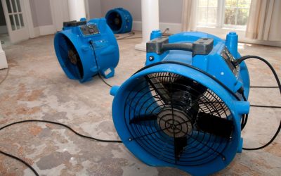 From Damp Disaster to Dry Delight Through Smart Structural Drying