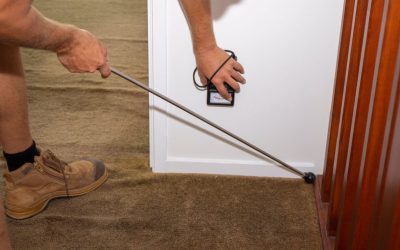 Hidden Mold Is Sneaky and Professional Mold Inspection Helps Catch It Early