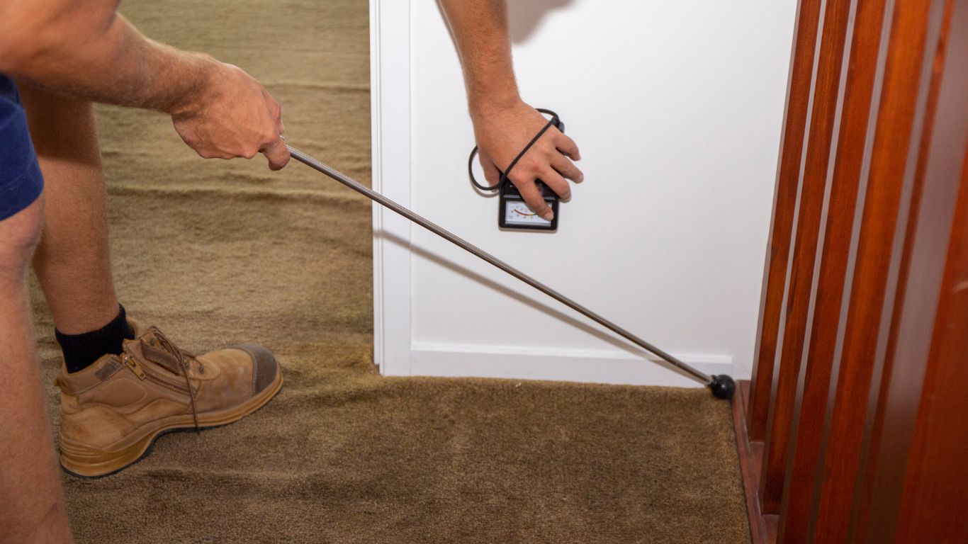 Professional mold inspection using moisture detection tools along interior wall baseboards to identify hidden mold early