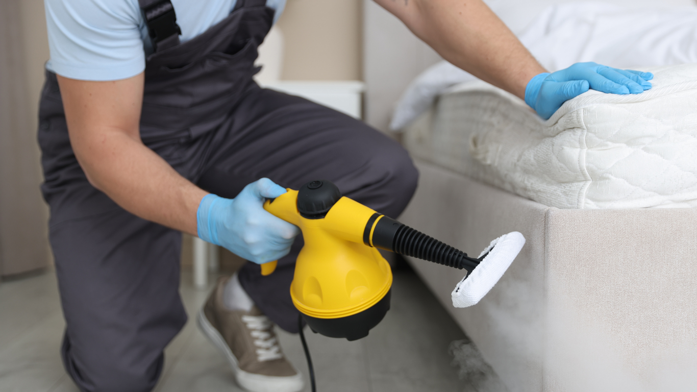 Odor Removal Services in Seattle for Eliminating Musty Smells After Water, Smoke, or Mold odor removal Seattle