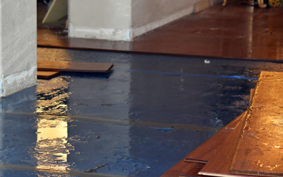 Seattle Water Damage Restoration (What to Do in the First 60 Minutes?)