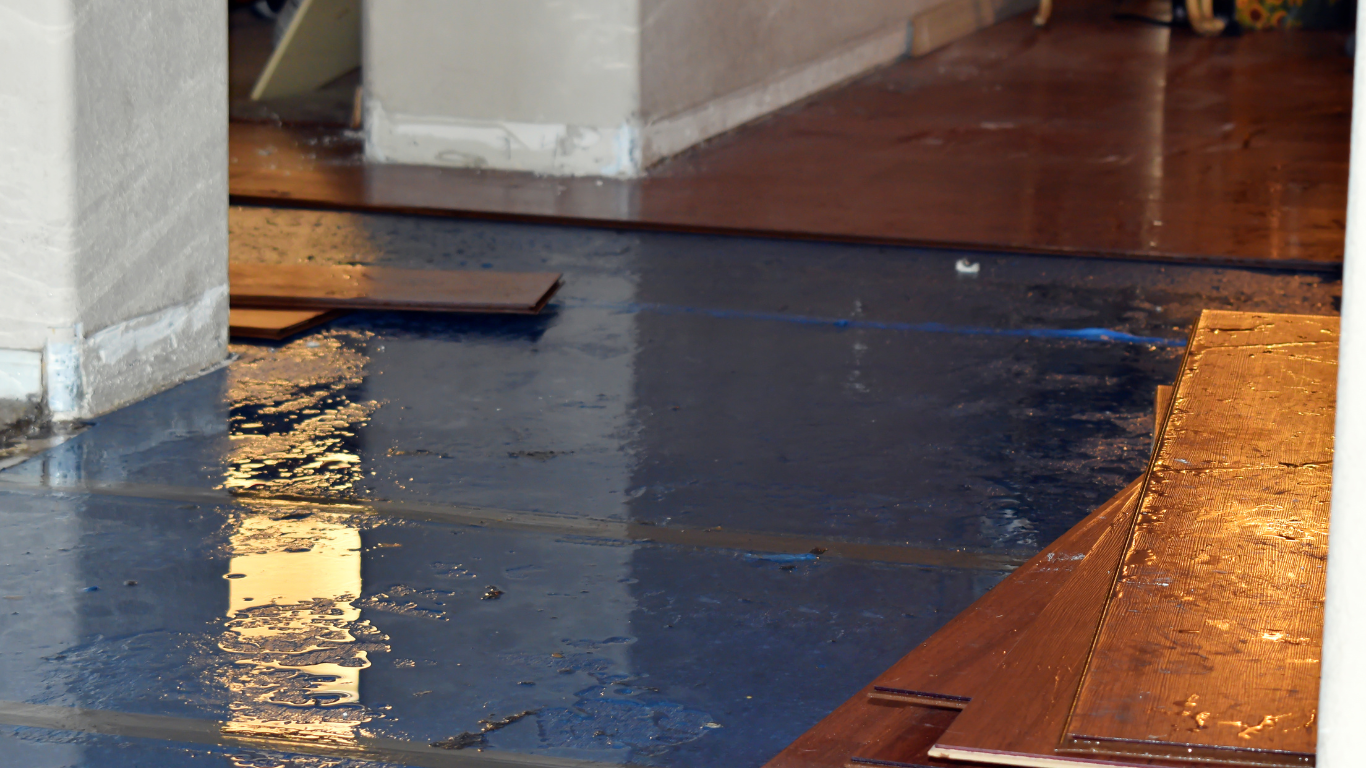 Seattle Water Damage Restoration (What to Do in the First 60 Minutes) Seattle water damage restoration