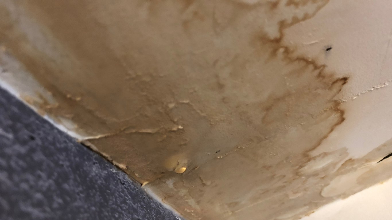 Signs, Tools, and When to Call a Pro for Hidden Leak Detection in Seattle Homes Hidden Leak Detection Tips for Seattle Homes