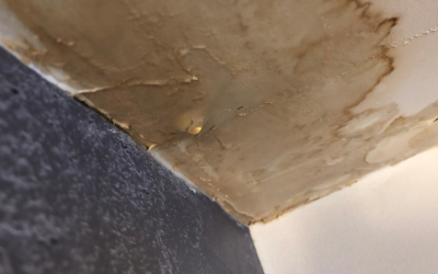 When Your Ceiling Leaks, It’s Time for Water Damage Restoration Magic