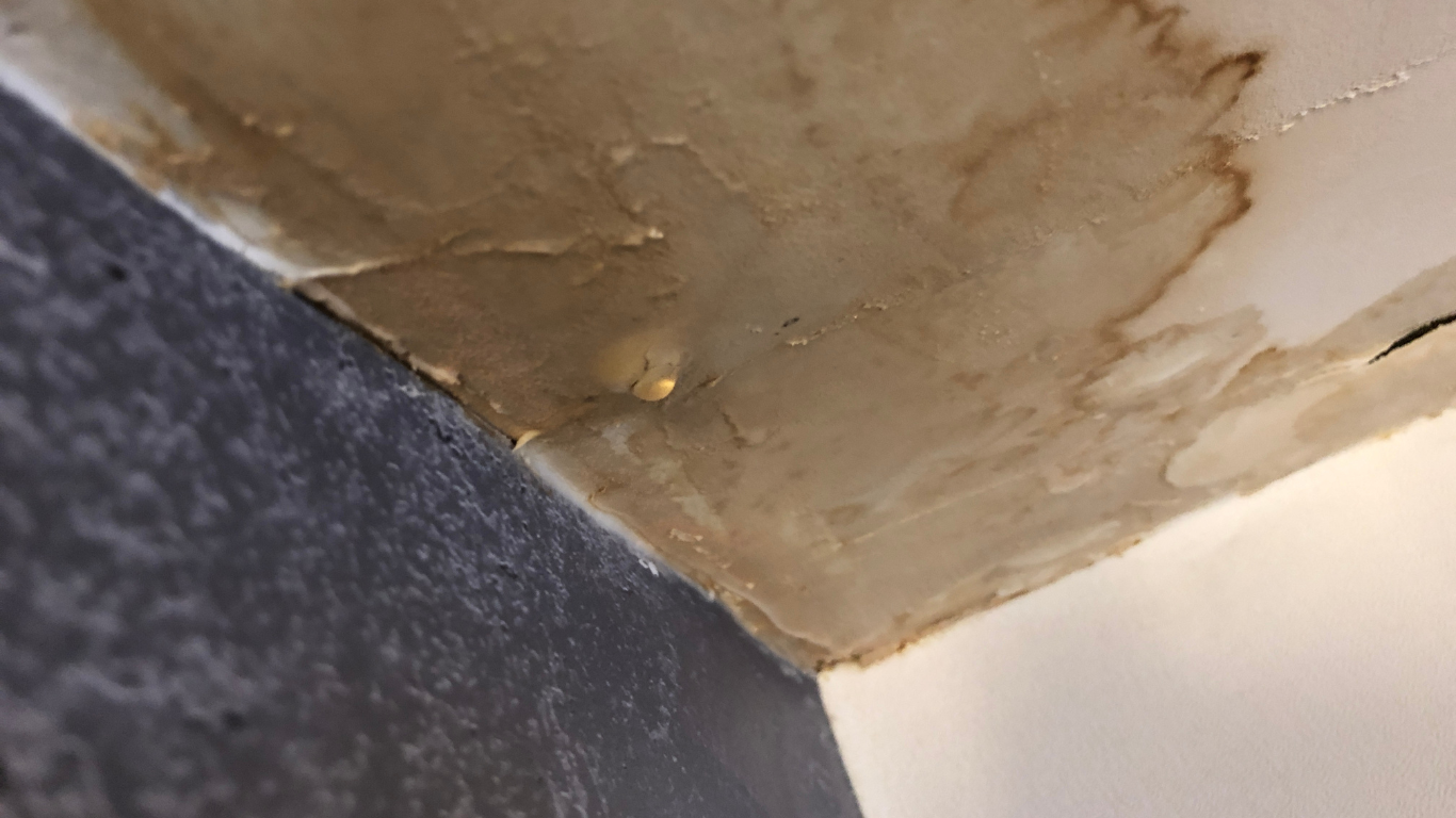 water damage restoration