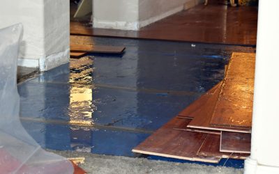 From Puddles to Peace of Mind with Flood Damage Restoration You Can Trust