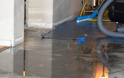 Water Mitigation in Marshfield and the Secrets to Staying Ahead of Flooding