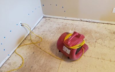 Our Step-by-Step Water Damage Restoration Process in Chicagoland