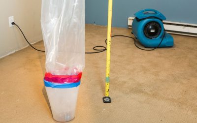 When Your Home Turns Into a Pool Trust Expert Flood Damage Restoration to Fix It