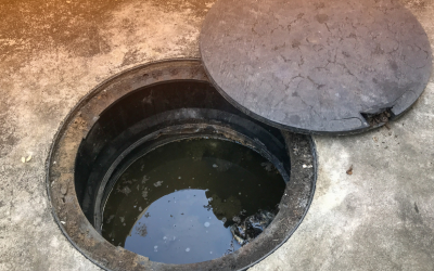 Safe Sewage Cleanup in Joliet, IL for Professional Biohazard Disinfection